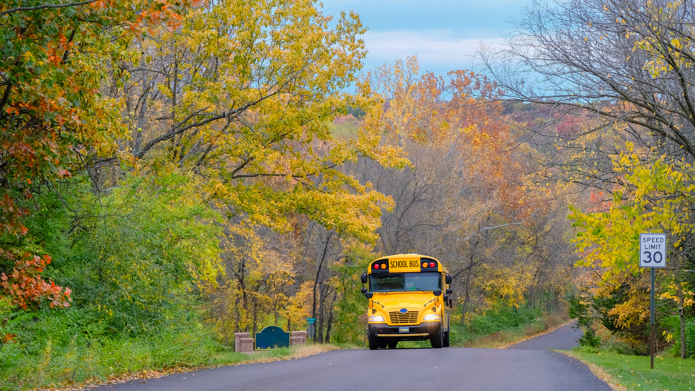 School Bus on Road